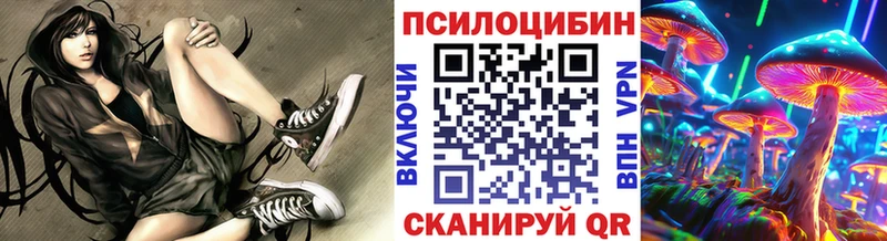 Галлюциногенные грибы прущие грибы  Козьмодемьянск 